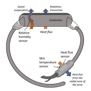 heat flux measurement of smartwatch