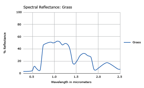 Reflection of different wavelengths by grass